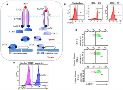 Functional Analysis of Anti-cytokine Autoantibodies Using Flow Cytometry